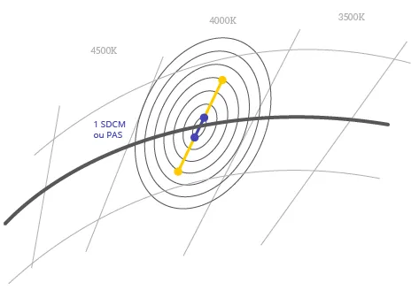 Ellipse Macadam