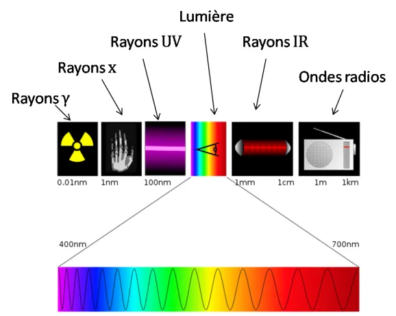 Spectre lumière visible